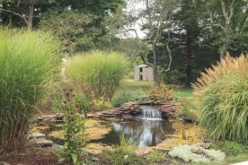 Anblick Gartenteich genieen