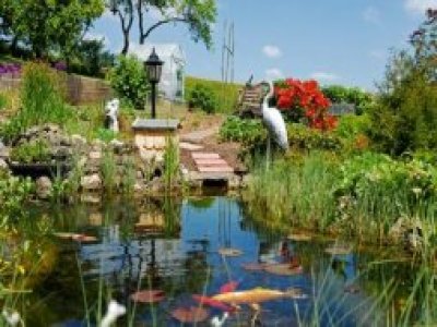 Gartenteich im Frhling